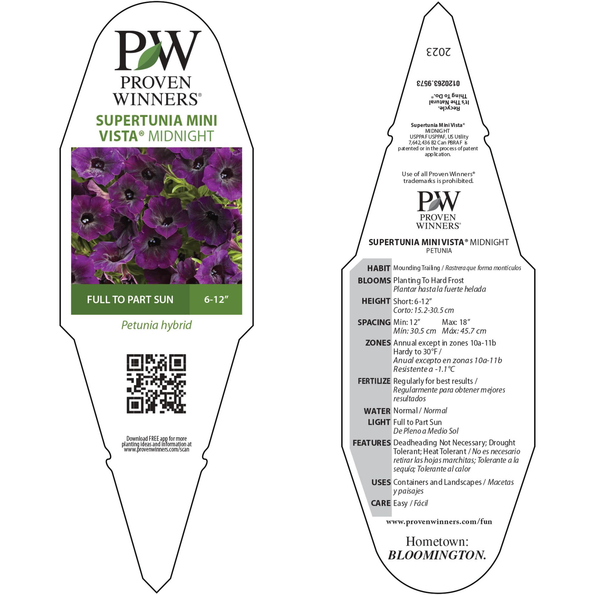 Proven Winners 4" Purple Supertunia Mini Vista Midnight Petunia Live Plant in 4.25" Pot (4 Count)