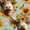 Color 2, variant on Peel and Stick Wallpaper Highland Cow Sunflower Crown Light Blue Wall Mural 17.7in x 9.8ft Self Adhesive Removable Wall Paper Renter Friendly Wallpaper for Nursery Bedroom Cabinets