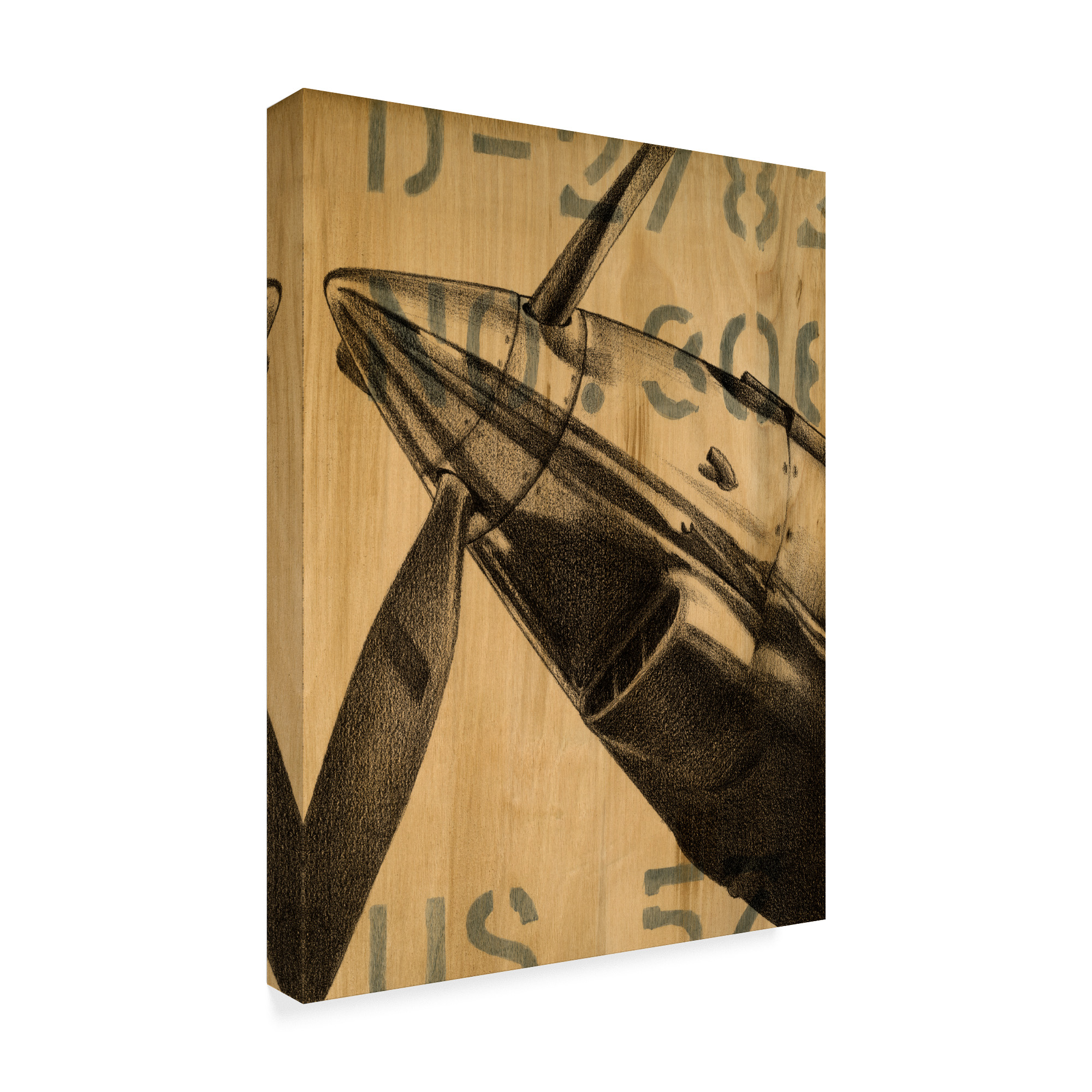 Trademark Fine Art 'Transcontinental II' Canvas Art by Ethan Harper