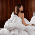 thumbnail image 2 of BedTreat Goose Feather Down Comforter Full Size, Luxury Hotel Bedding Comforter All Season Duvet Insert, Medium Warmth 100% Cotton Cover with Corner Tabs（82x86 inch）, 2 of 8
