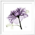 thumbnail image 2 of Art.com Purple Rose 2 Art Print by Albert Koetsier, White Frame Wall Art, 29" x 29", 2 of 5