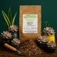 thumbnail image 4 of Sustrato Premium para Suculentas y Cactáceas - Enriquecido con Nutrientes - The Real Green, 4 of 8