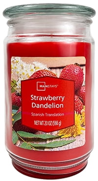 Mainstays Single Wick Jar Candle, Strawberry Dandelion, 20 oz