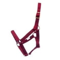thumbnail image 3 of Jeffers Nylon Adult Miniature Horse Halter| Adult | Under 300 lb | Red, 3 of 6