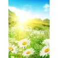thumbnail image 2 of YUSDECOR 5x7ft Spring Photography Backdrop Sun Shines Grass Flowers Blue Sky Picture Studio Props Photo Booth Curtains Party Background, 2 of 3