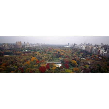 Trees in a Park, Central Park, Manhattan, New York City, New York State, USA Print Wall Art By Panoramic
