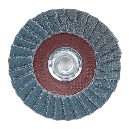 NORTON 66254400256 Flap Disc,4 1//2 In x 120 Grit,7//8