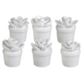 thumbnail image 2 of Urban Trends Ceramic Cactus Figurine - Set of 6, 2 of 2