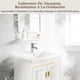 thumbnail image 4 of Gabinete de Baño de Lavamanos y Espejo, Armario con 2 Puertas para Baño con Estante, Grifos de Agua Caliente y Fría, Tuberías de Desag, 61 * 40 cm (Oro), 4 of 8
