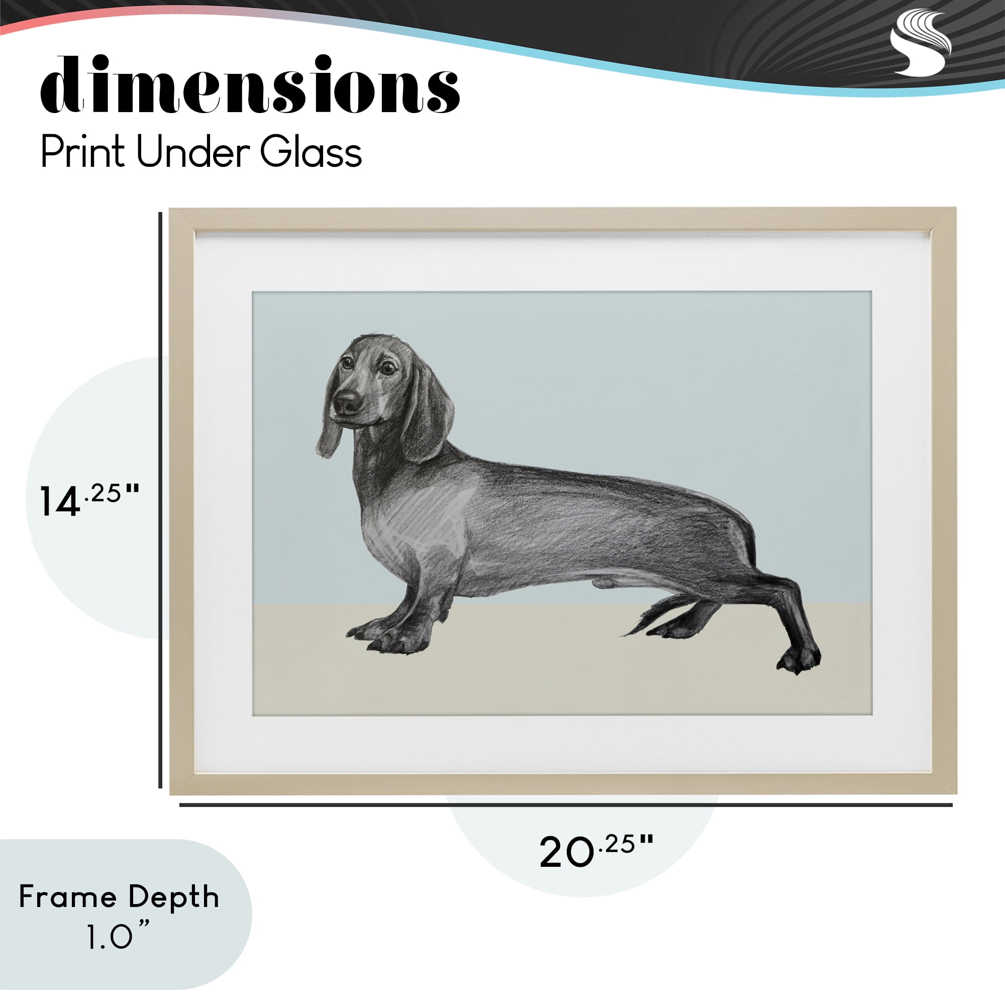 Stupell Industries Sketched Dachshund on Blue Birch Framed Print Under Glass, design by Violeta Vollmer