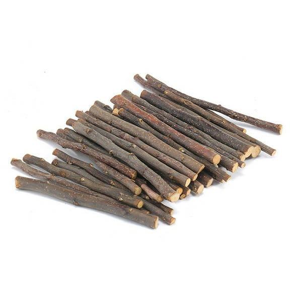 20/40/60Pcs Hamster Chew Sticks Eco-friendly Bite-Resistant Apple Tree Hare Chew Toys Pet Teeth Grinding Stick for Home