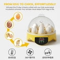 thumbnail image 3 of 7 pieces Mini Egg Incubator for Hatching Eggs with 360° Clear View, Automatic Temperature Control Small Egg Incubator for Chickens, Ducks, and Quail, Educational Hatching Kit for Kids and Home Use, 3 of 7