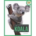 thumbnail image 3 of Spotlight on Nature Koala, (Paperback), 3 of 3