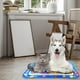 thumbnail image 5 of Tapete de juego acuático para decoración del hogar, tapete de juego con sensor de agua grueso para gatos, tapete de juego sensorial de agua con peces para mascotas, tapete de sensor de agua para niños, 5 of 7