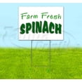 thumbnail image 1 of Farm Fresh Spinach (18" x 24") Yard Sign, Includes Metal Step Stake, 1 of 6