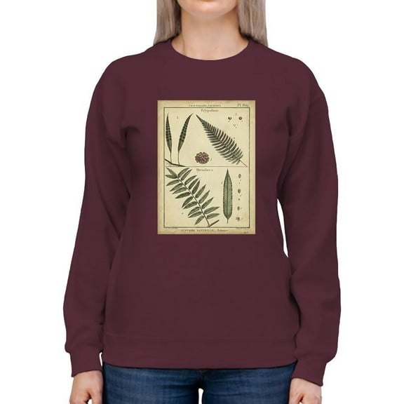 Diderot Antique Ferns Iii. Sweatshirt Women -Denis Diderot Designs, Female Medium
