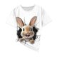 thumbnail image 4 of TaTaai Womens Easter Printed Loose Fit Pullover Tops Round Neck Short Sleeve Casual Fashion Soft Lightweight Comfy Daily Wear T Shirts for Women Gift, 4 of 5