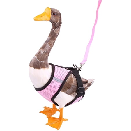 Adjustable Duck Harness With 4ft Matching Leash For Chicken Hen Pets Training Walking L Pink Walmart Canada