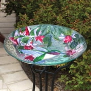 Evergreen Garden 2GB209 11 Inch Peacock Glass Bird Bath Bowl with Metal