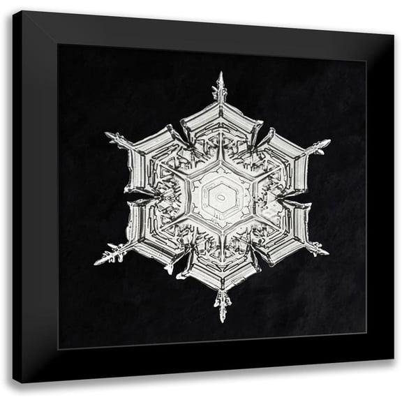 Bentley, Wilson 12x12 Black Modern Framed Museum Art Print Titled - Snowflake 579A