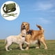 thumbnail image 3 of Arnés para Perros Sunnimix Chaleco Desmontable Verde M M 15-30 kg, 3 of 7