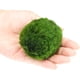 thumbnail image 2 of 4 bolas de musgo para acuario, bolas de musgo verde natural, plantas de bolas de algas artificiales para pecera, terrario, decoración de acuario Ofspeizc CZMR-ZC303, 2 of 2