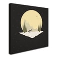 thumbnail image 2 of Trademark Fine Art 'Wintertime Wolf' Canvas Art by Tammy Kushnir, 2 of 3