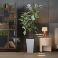 thumbnail image 2 of Worth 2 Pack 22" Tall Plastic Square Tapered Planter with Inside Pots, White, 2 of 10