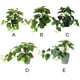 thumbnail image 3 of Plantas artificiales Advancent Hoja Planta falsa Interior Exterior Decoración verde con maceta, 3 of 6