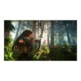 Horizon Zero Dawn Collector