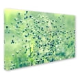 thumbnail image 2 of Trademark Fine Art "Spring Notes" Canvas Art by Beata Czyzowska Young, 2 of 3