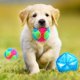 thumbnail image 4 of 4 Piezas Bolas para Perros con Luz Espinosa Led Brillante Bola con Puntas para Mascotas Bola Elástica Intermitente Bolas Espinosas para Mascotas Bola Molar Juguetes Interactivos para Gatos para M, 4 of 5