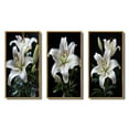 thumbnail image 2 of Designart "White Green Lily Exquisite Lily Painting I" Floral Framed Wall Art Set Of 3 - White Lilies Frame Gallery Set For Office Decor, 2 of 7