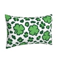 thumbnail image 2 of Haiem Pillowcase for Hair and Skin Queen - Leopard print St. Patrick's Day Printed Soft Pillowcase with Envelope Closure-16"x24", 2 of 9