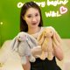 thumbnail image 4 of 28cm Kawaii Plush Bunny Easter Stuffed Animal Toys Super Soft Rabbit Doll Plush Pillow with Long Ears Easter Children Gift, 4 of 5