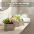 thumbnail image 6 of Artificial Succulents Indoor, Set of 3 Mini Potted Greenery in Rustic Wood Planters, Tabletop Accent for Office, Bathroom Shelf, No Watering, 6 of 9