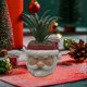thumbnail image 1 of Miniatura de alce navideño, maceta decorativa bonita de resina, Mini recuerdos de fiesta de Navidad, 1 of 6
