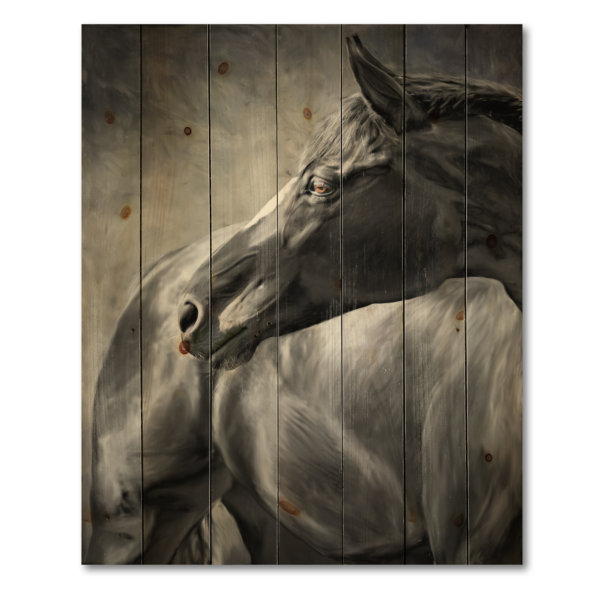 Designart 'Close Up Of A Black Horse' Farmhouse Print on Natural Pine Wood