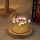 thumbnail image 2 of DIY Tulip Night Light Material Pack, Romantic Tulip Ambient Light, Simulation Flower Light for Lovers Gifts, Purple(10*12cm), 2 of 4
