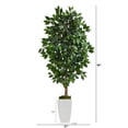 thumbnail image 2 of Nearly Natural 4.5ft. Ficus Artificial Tree in White Metal Planter, 2 of 4