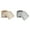 Gray & Beige(2PCS), variant on XSCPXTT 2PCS Sandwich Containers, Sandwich Containers for Lunch Box, Reusable Toast-Shaped Lunchbox (Beige & Gray)
