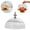 A, variant on FSAGAE Cake Cover 6.3 x 6.3 inch Dome Lid for Dessert Display and Food Protection