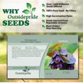 thumbnail image 6 of Outsidepride Cerinthe Major - 100 Seeds, 6 of 9