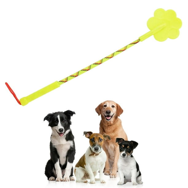 Dog training toys best sale