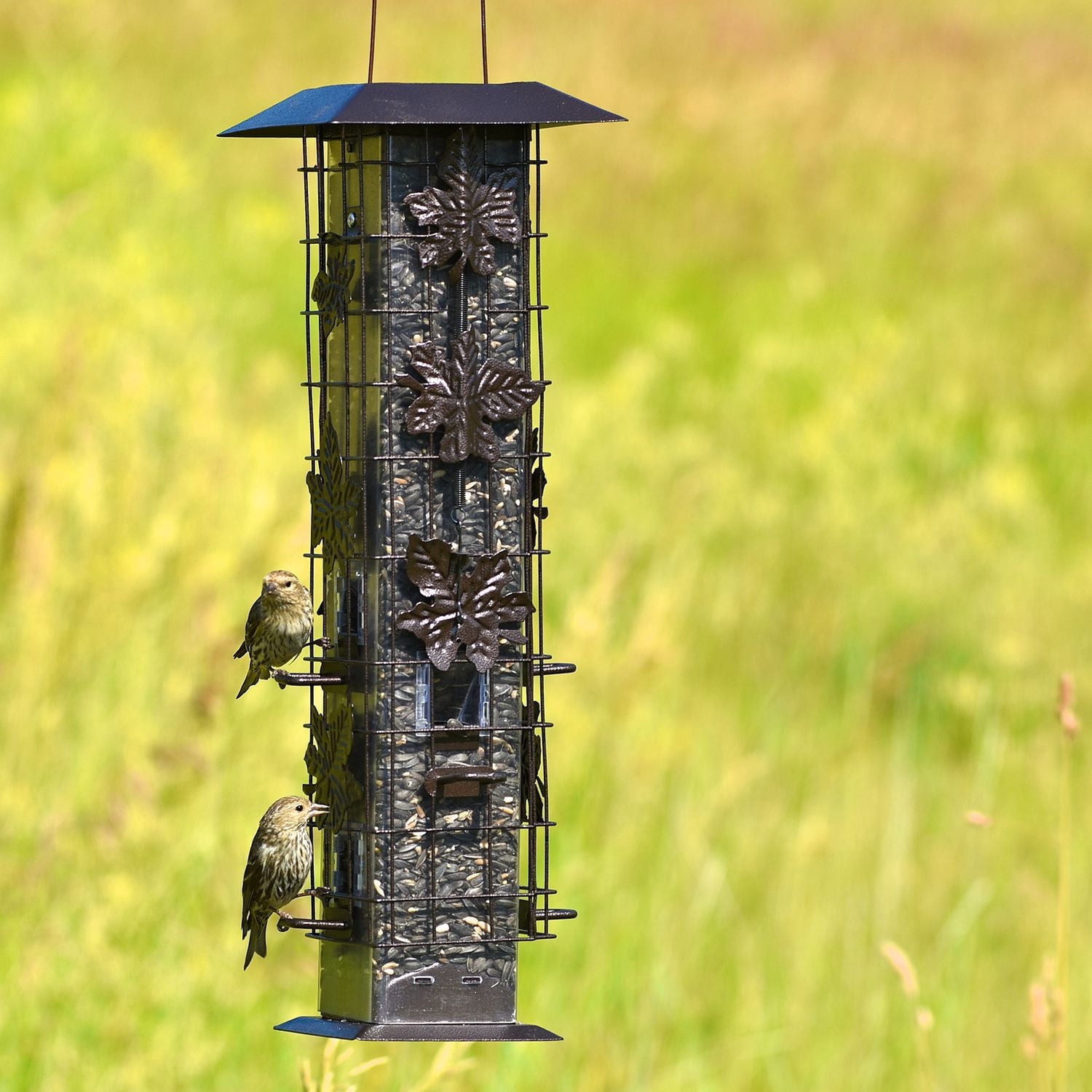 Perky-Pet Squirrel-Be-Gone Wild Bird Feeder