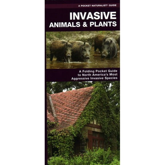 Invasive Species of North America