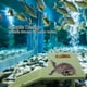thumbnail image 4 of Tortuga Rana Isla Flotante Mascotas Acuáticas Reptiles Hábitat Suministros Adorno de Acuario (Verde), 4 of 5