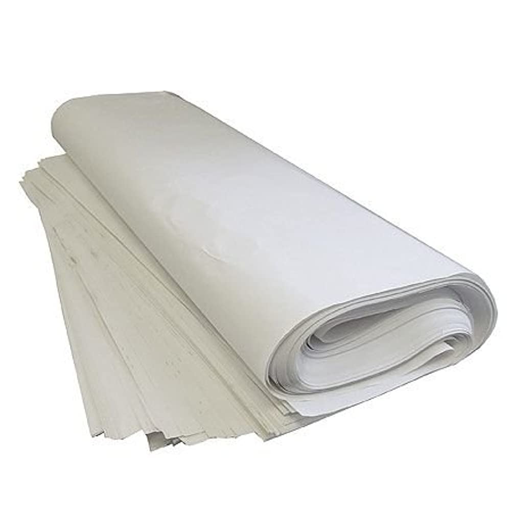 White Unprinted Newspaper Offcuts Packing Paper Large 500mm x 750mm Sheets 
