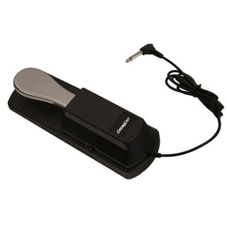 3.5mm Interface Compact Sustain Pedal Universal Dual Pedal for Musical  Instruments Portable Roll Up Piano Electronic Keyboard Elctronic Roll Up  Drum
