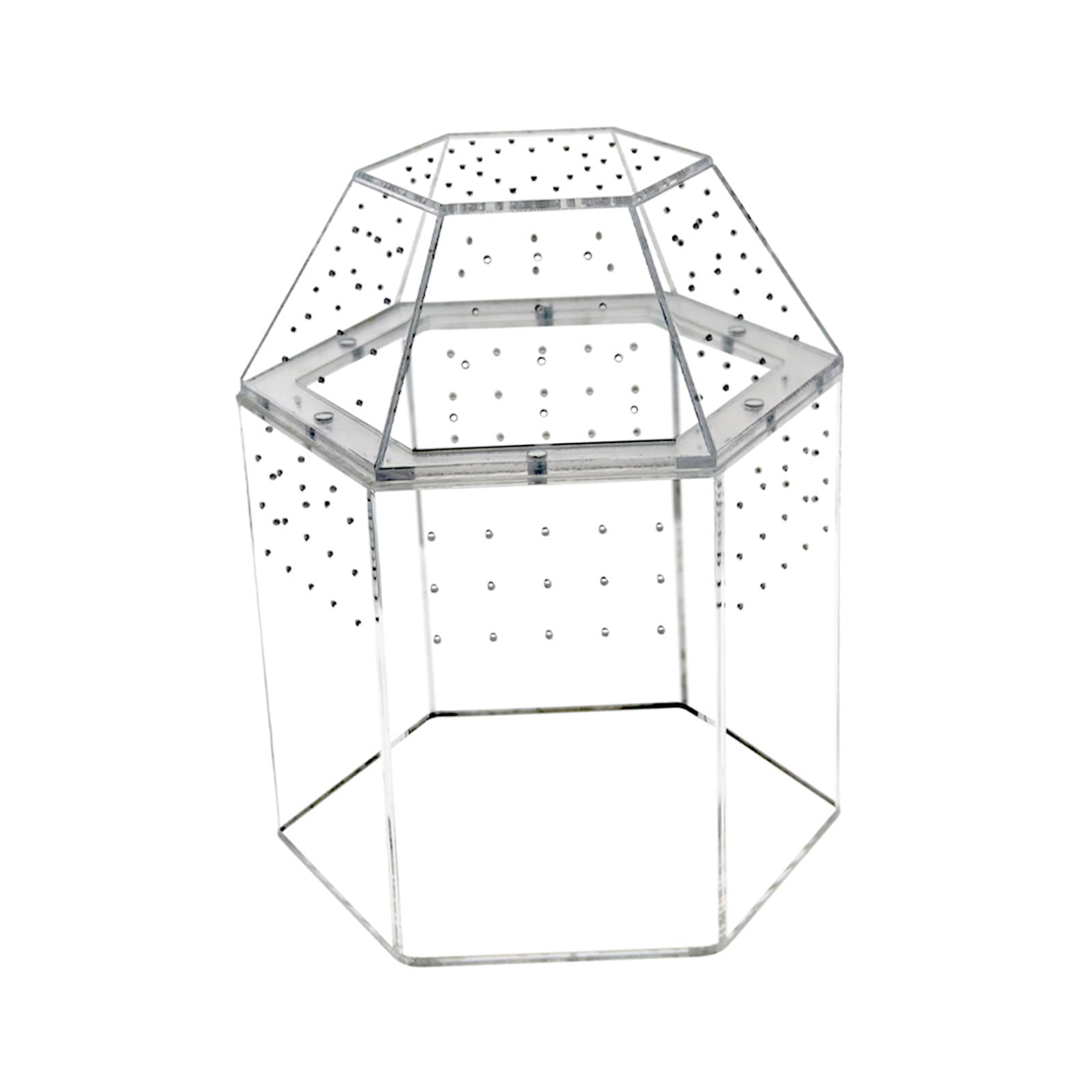 Reptile Tank Tarantula Enclosure Small Breeding Box Lightweight Acrylic Construction Suitable for Display and Desk Decor